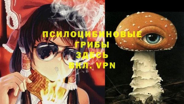 spice Михайловка