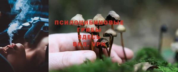 марихуана Медногорск