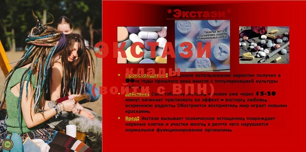 шишки Братск