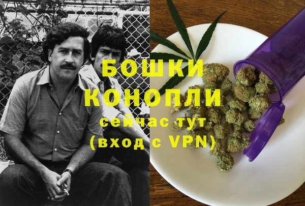 ешки Гусиноозёрск