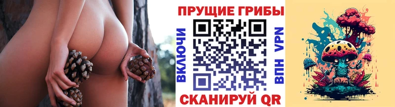 Галлюциногенные грибы Cubensis  Нягань 