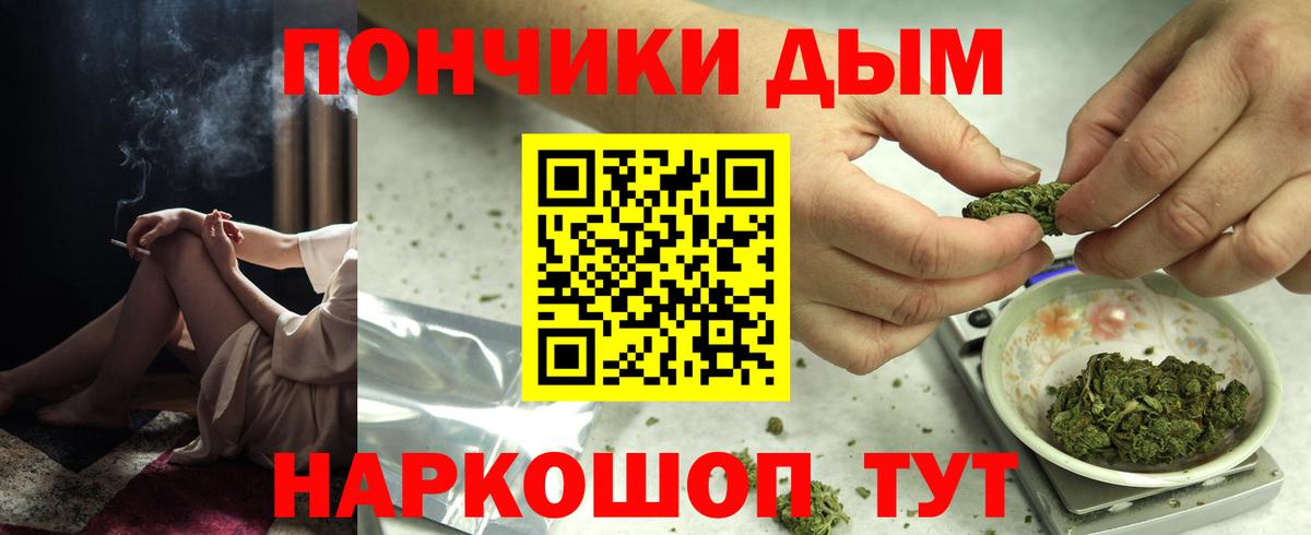 Канабис Bruce Banner  Бошки марихуана планчик  Канабис сатива  Нягань 